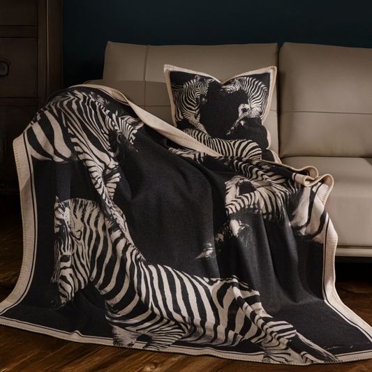blanket + throw pillow